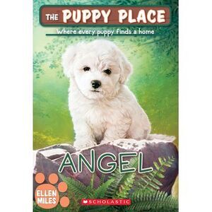 Angel (the Puppy Place #46): Volume 46 -- Ellen Miles